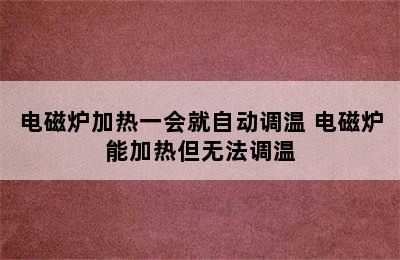 电磁炉加热一会就自动调温 电磁炉能加热但无法调温